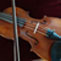 Book a private appointment to test instruments and bows