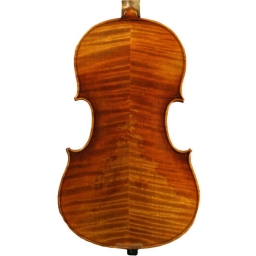 Snow Viola #900 - 16"