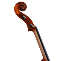 Eastman Select Cello #305 - 4/4
