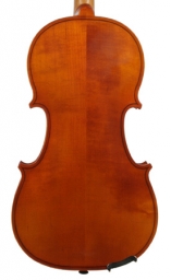 Dvorak Violin - 1/2