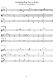 Progressive Scale Studies